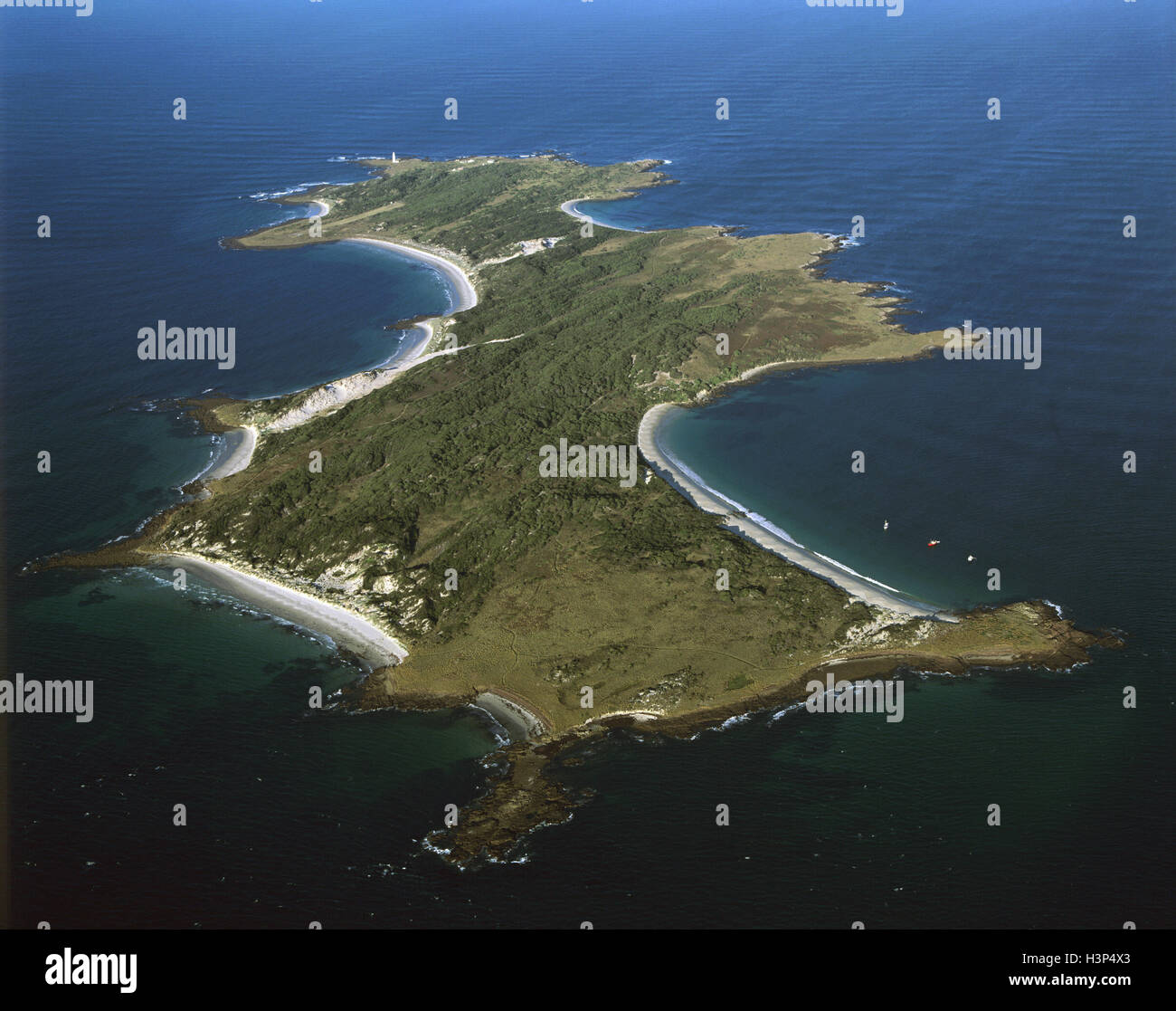 L'isola di Swan, 239 ettari in banche stretto, dall'occidente. Foto Stock