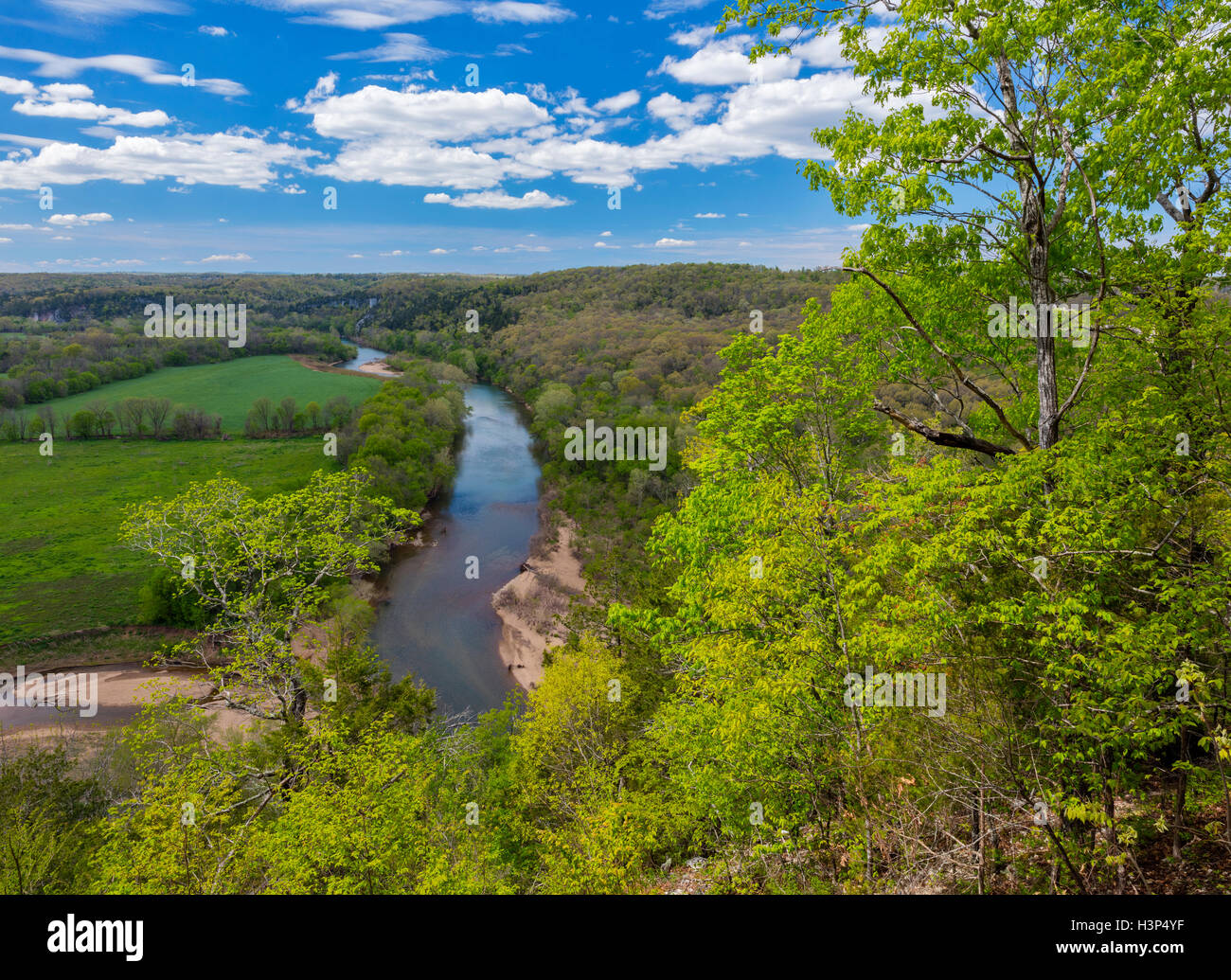 Buffalo National River, Arkansas: Buffalo River vicino Tyler piegare in primavera Foto Stock