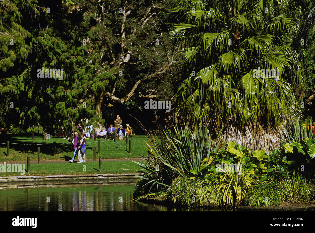 Stagno principale nella Royal Botanic Gardens. Foto Stock