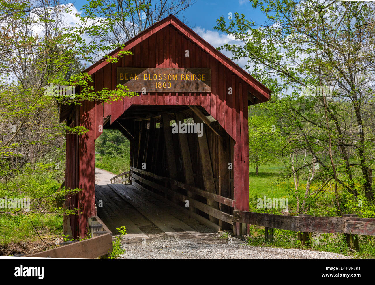 La Contea di marrone, Indiana: Bean Blossom ponte coperto (1880) all'inizio della primavera Foto Stock