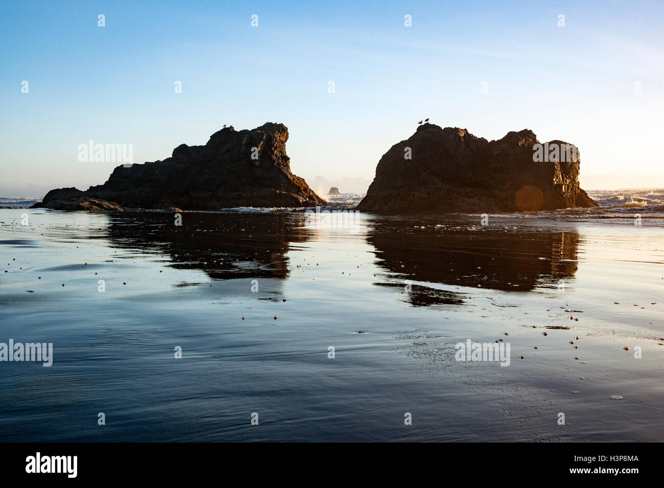 Pile di mare sulla spiaggia di Rubino - Parco nazionale di Olympic, vicino a forche, Washington, Stati Uniti d'America Foto Stock