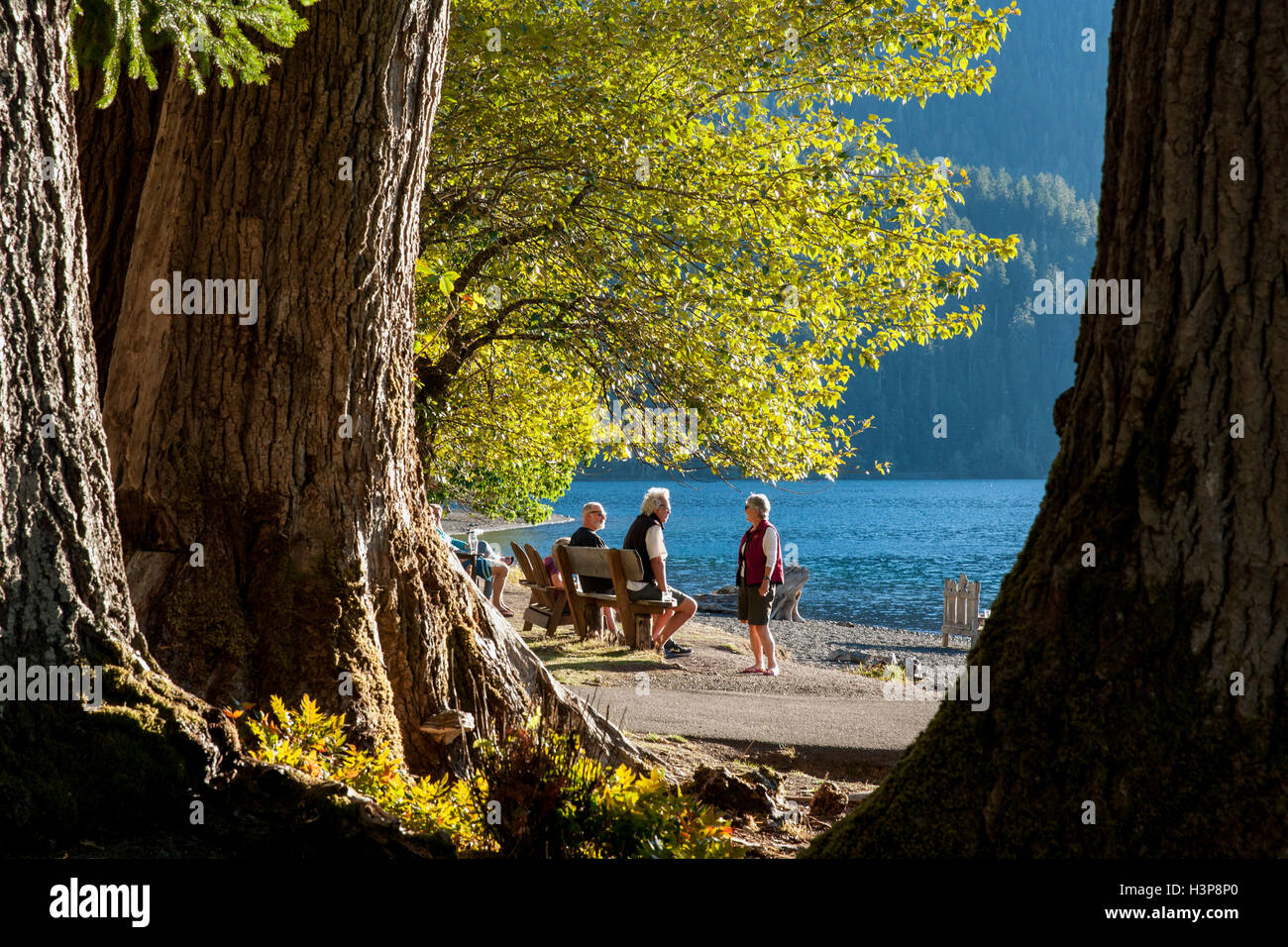 Gente seduta sul banco a Crescent Lake Lodge - Parco nazionale di Olympic - vicino a Port Angeles, Stati Uniti di Washington Foto Stock
