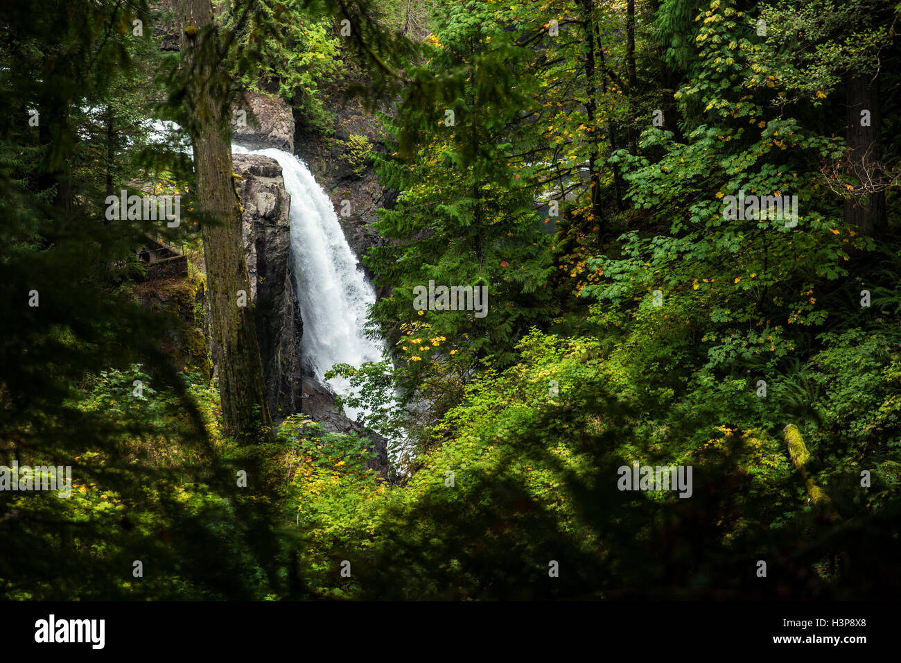Elk Falls (esposizione breve) - Elk Falls Provincial Park - Campbell River, Isola di Vancouver, British Columbia, Canada Foto Stock
