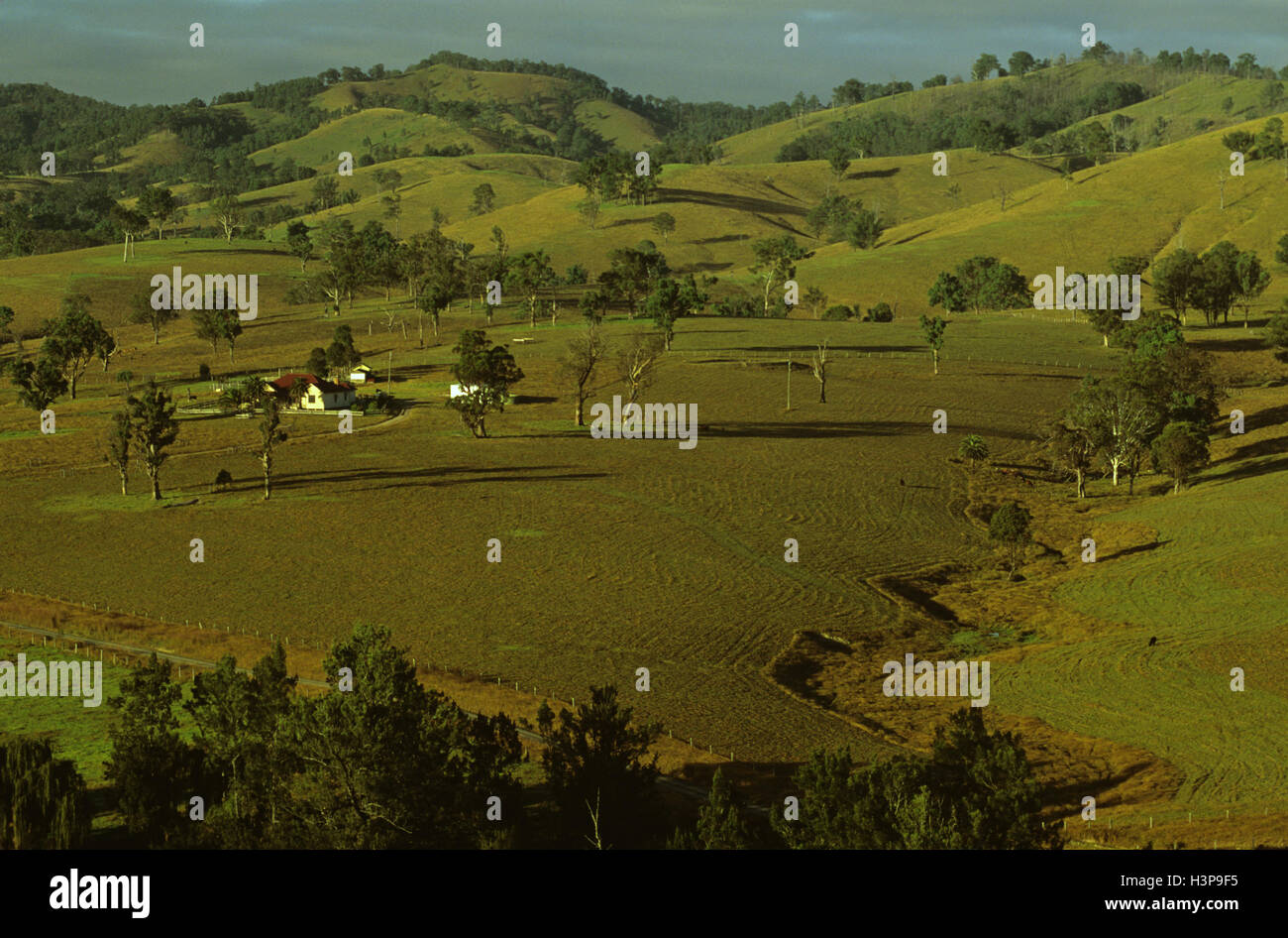 Scena rurale, Foto Stock