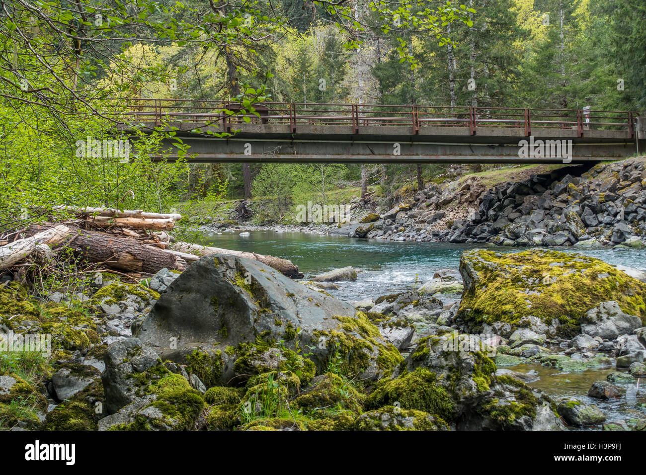 L'acqua fluisce sotto un ponte a scala campeggio nel parco nazionale di Olympic nello Stato di Washington. Foto Stock