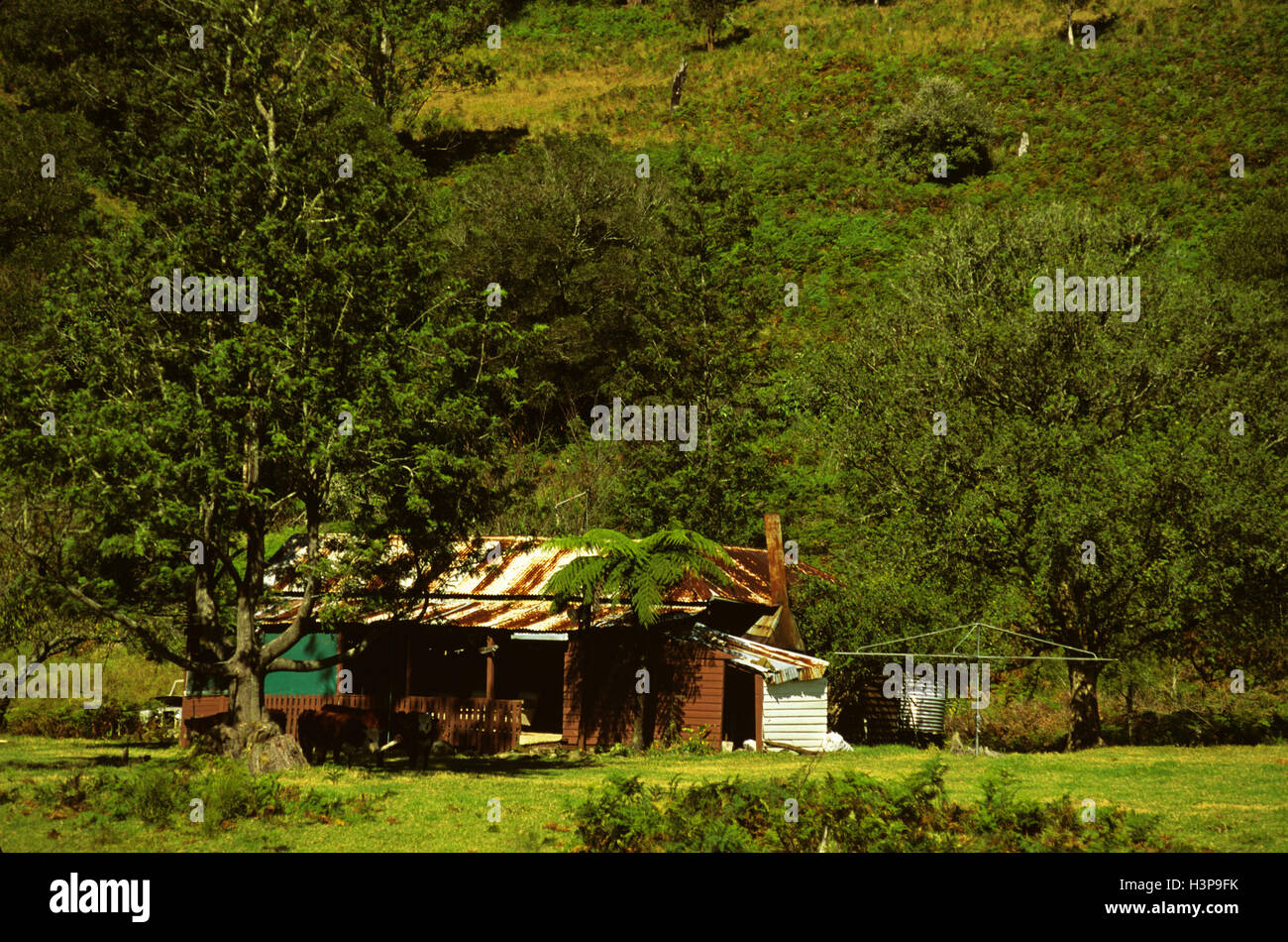 Rurale scena con una casa sgangherato. Foto Stock