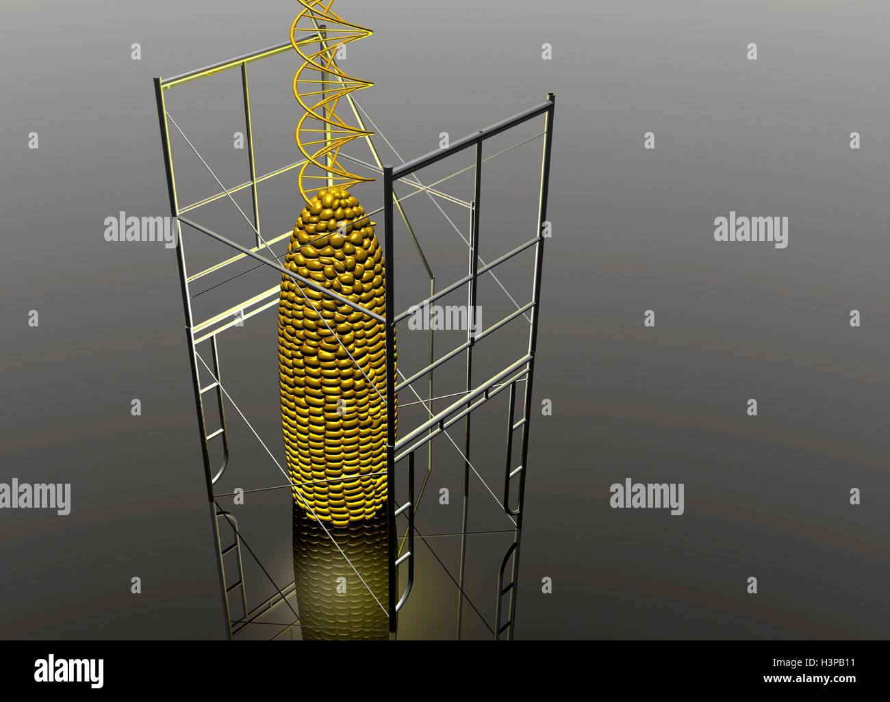 Gli alimenti geneticamente modificati, illustrazione. Foto Stock