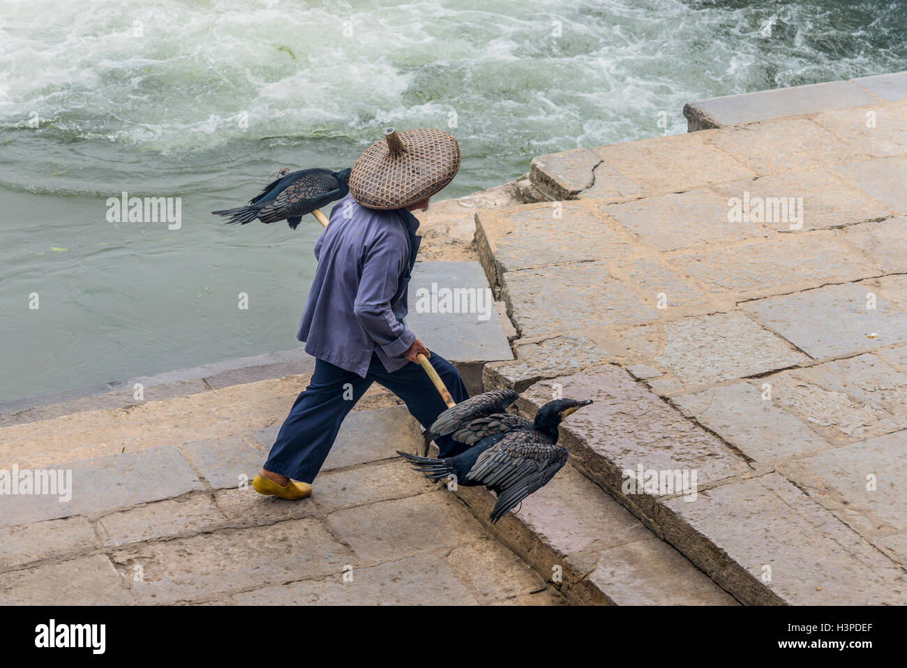 Cormorano pescatore va alla sua antica zattera di bambù sul fiume Li in Yangshuo, Guangxi, Сhina Foto Stock
