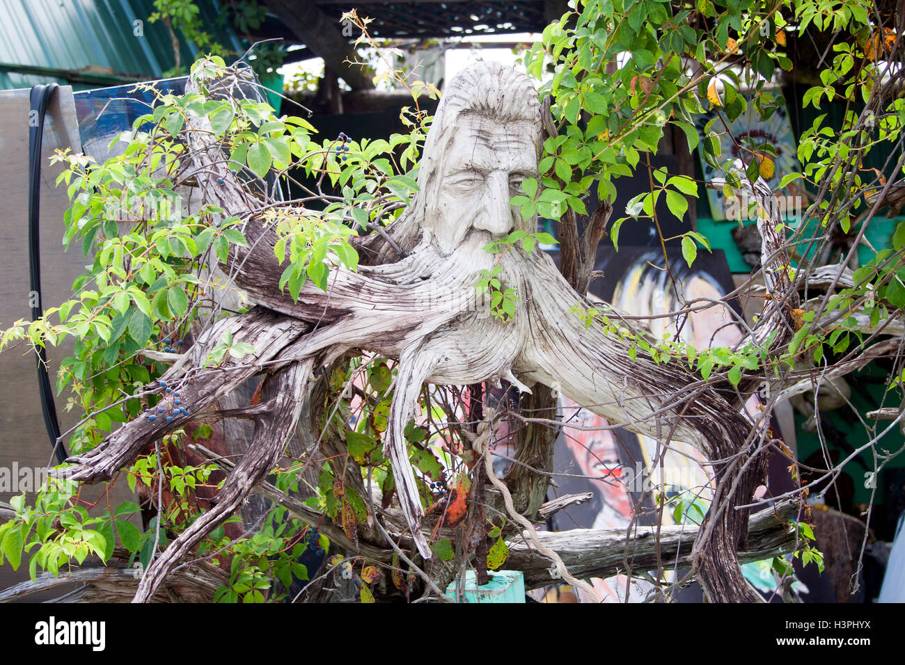 Scopri le splendide sculture in legno di Peter Wolf Toth nella sua galleria Edgewater, Florida, che celebra il patrimonio e l'arte dei nativi americani. Foto Stock