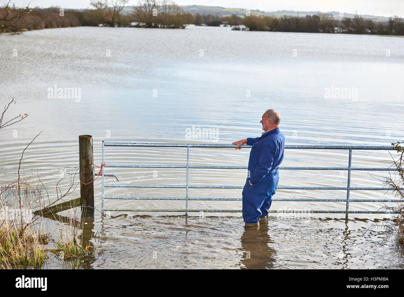 Un agricoltore guarda al profondo acqua di inondazione per la sua azienda di campi durante il mese di febbraio 2014 Inondazioni in Oxfordshire Foto Stock