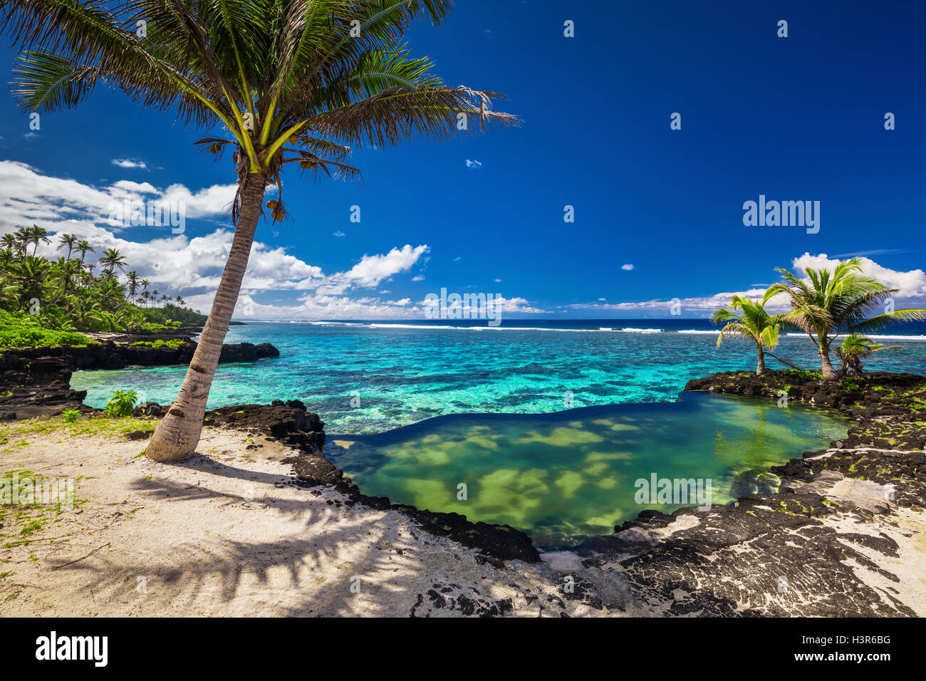 Naturale di Roccia infinity pool con palme oltre oceano tropicale laguna Foto Stock