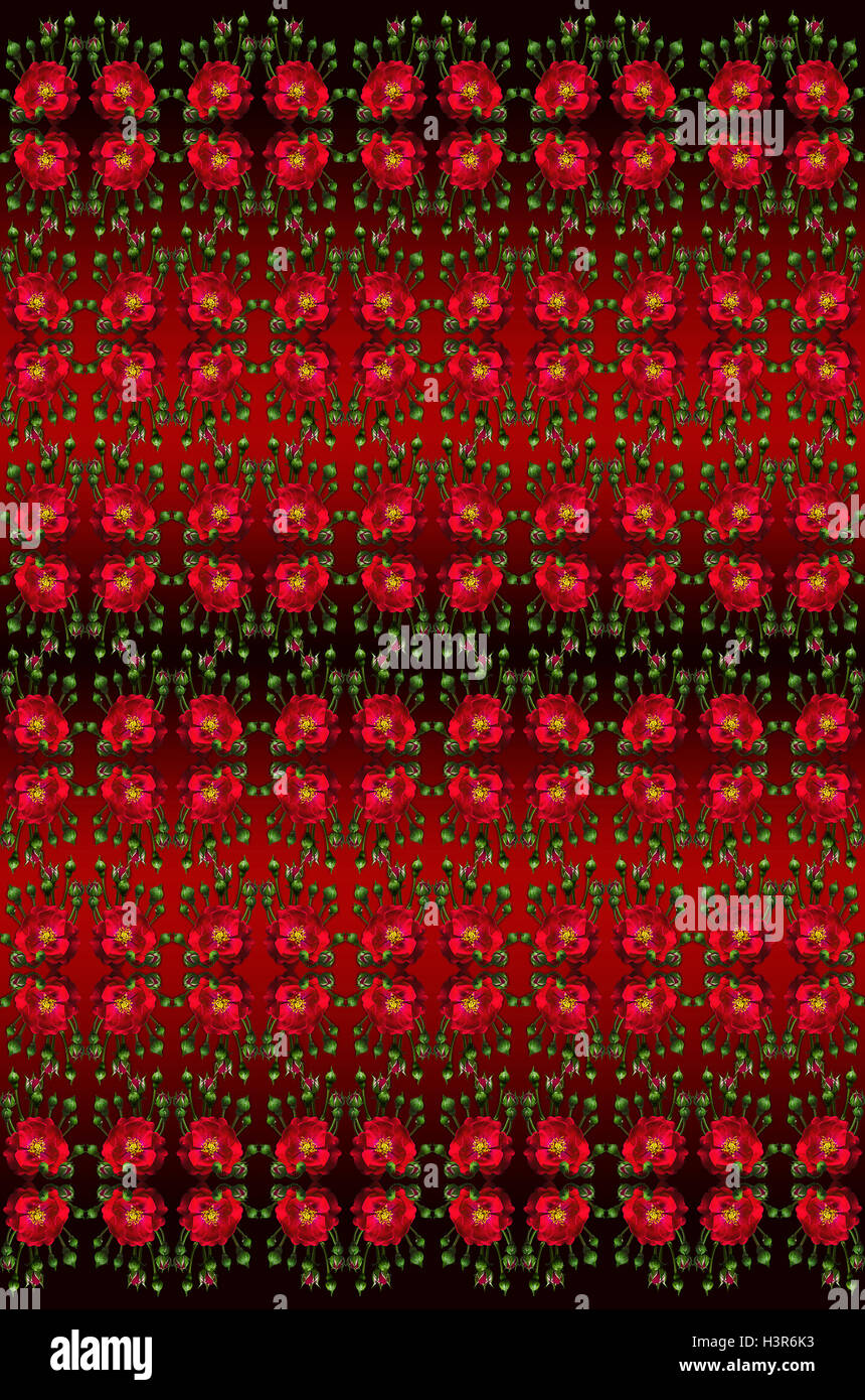 Nero rosso sfondo senza giunture con rose rosse e gemme Foto Stock