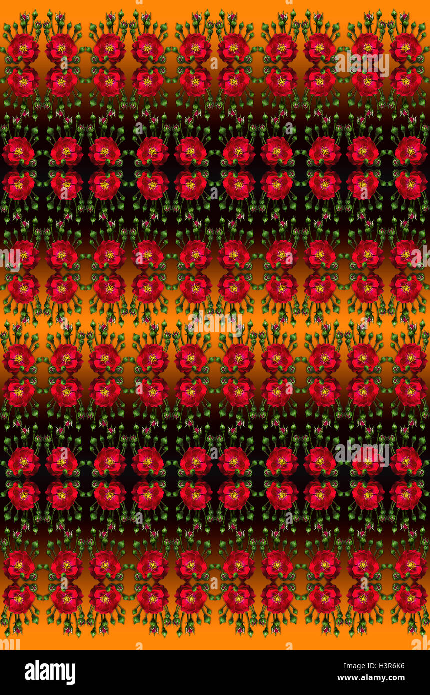 Nero e arancio sfondo senza giunture con rose rosse e gemme Foto Stock