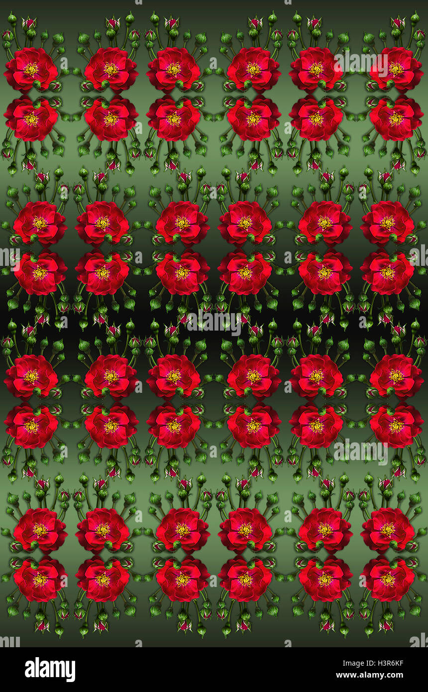 Verde Nero seamless sfondo con rose rosse e gemme Foto Stock