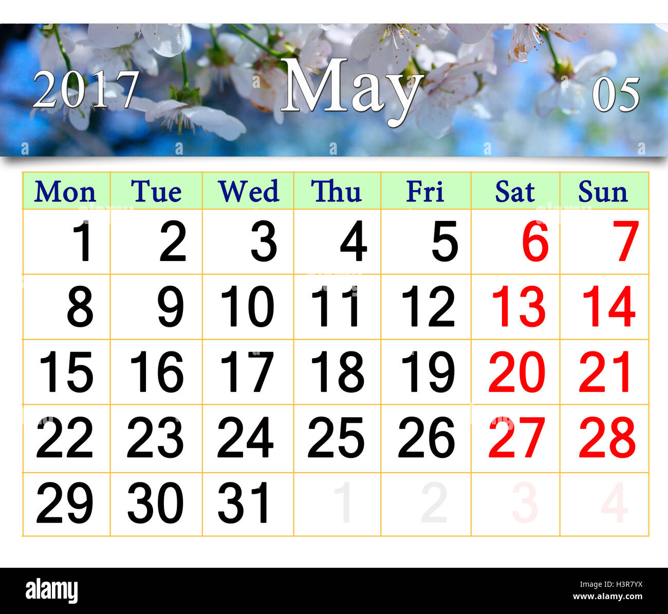 Calendario per il mese di maggio 2016 con fiore bianco ciliegio Foto Stock