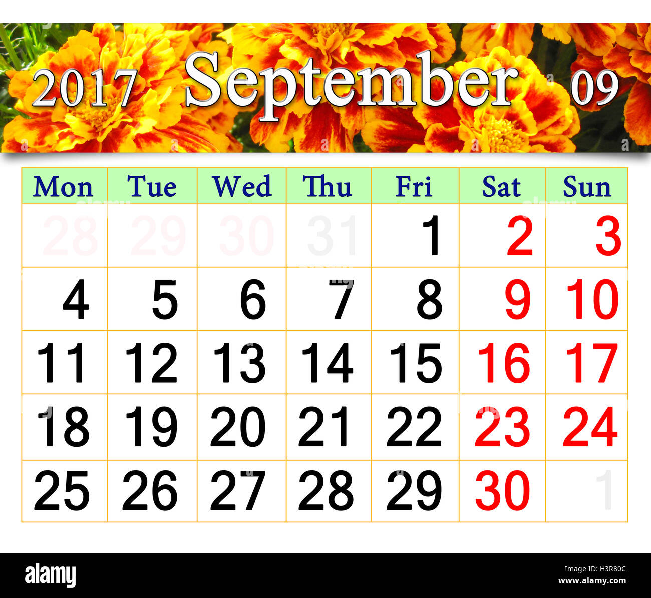 Calendario per il mese di settembre 2017 con immagine di fiori di Le calendule Foto Stock