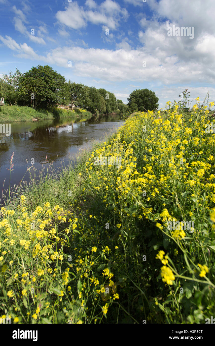 Fiume Dee, Cheshire, Inghilterra. Estate pittoresca vista del fiume Dee al confine tra Galles e Inghilterra. Foto Stock