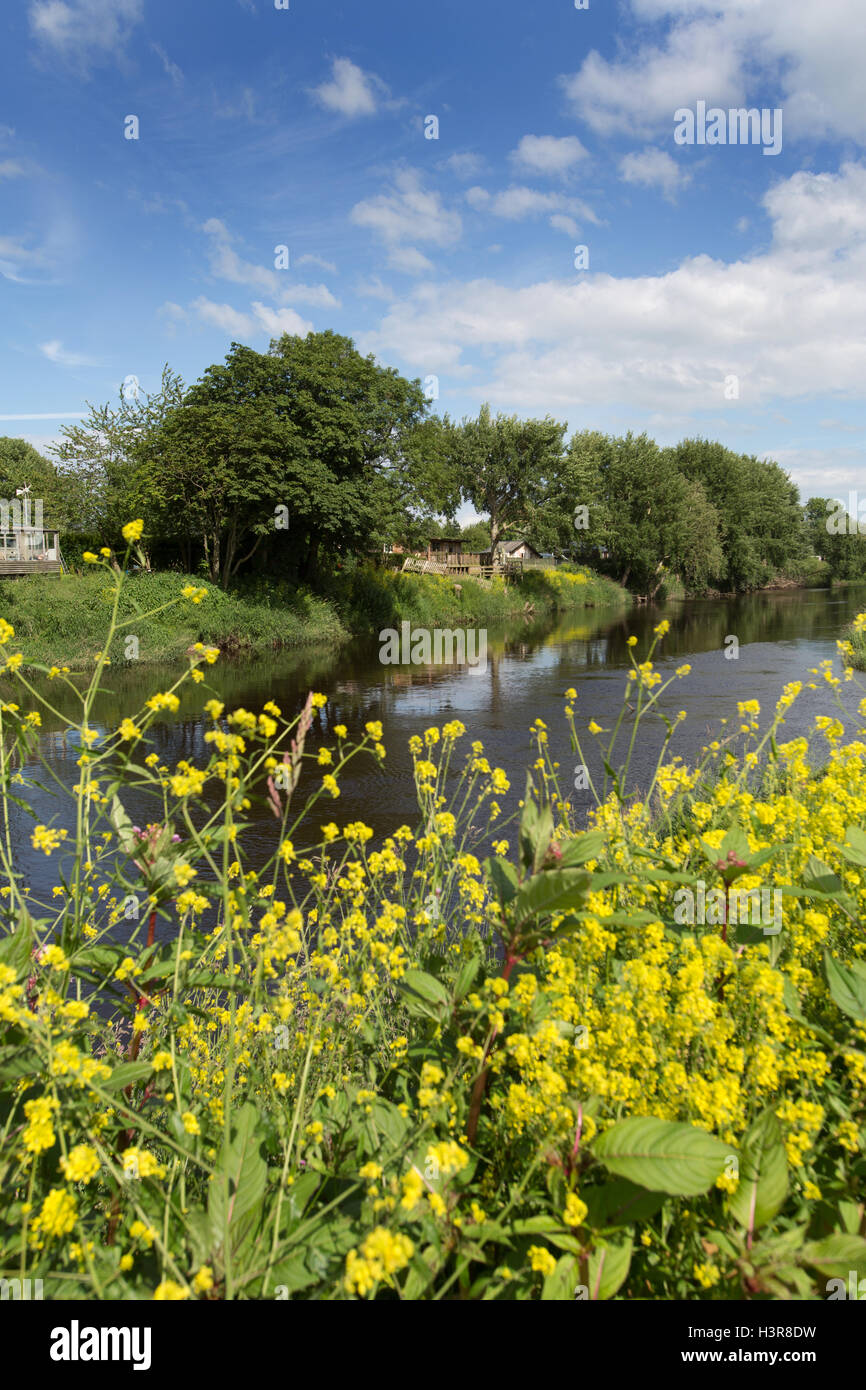 Fiume Dee, Cheshire, Inghilterra. Estate pittoresca vista del fiume Dee al confine tra Galles e Inghilterra. Foto Stock