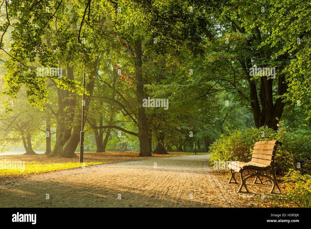 Autunno in sunrise Poludniowy Park (parco Sud), Wroclaw, Slesia, Polonia. Foto Stock