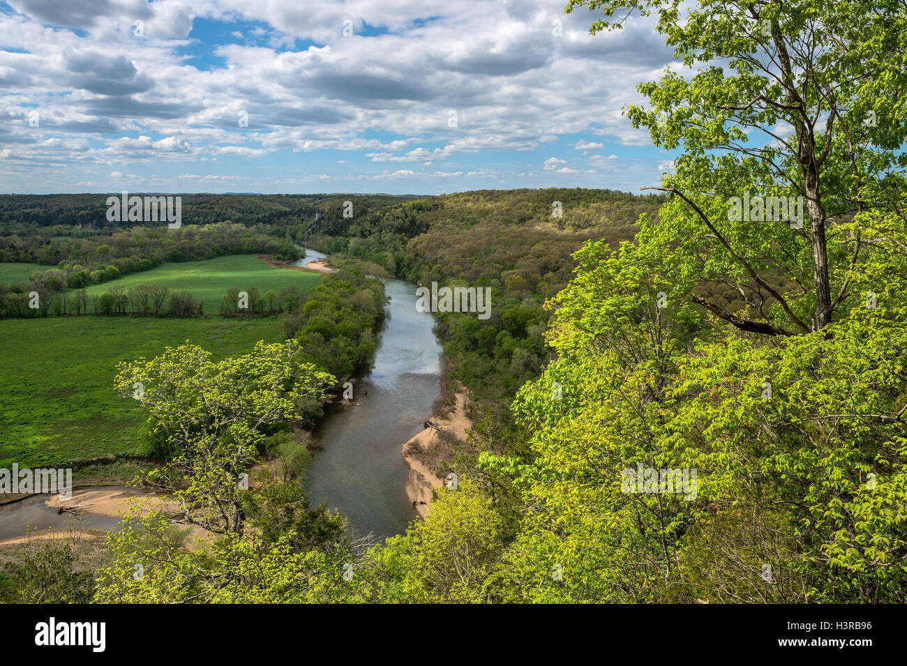 Buffalo National River, Arkansas: Buffalo River vicino Tyler piegarsi agli inizi della primavera Foto Stock