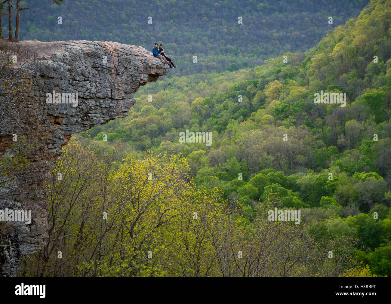 Buffalo superiore area selvaggia, Arkansas: Hawksbill roccioso, un affioramento sulla Whitaker punto sopra la molla di Ozark forest Foto Stock