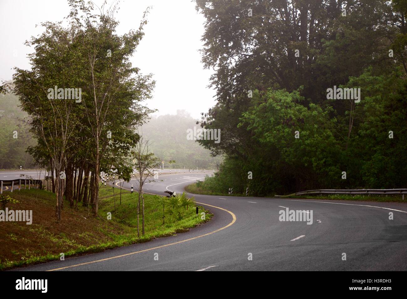 Strada di nebbia al mattino nel nord della Thailandia. Foto Stock