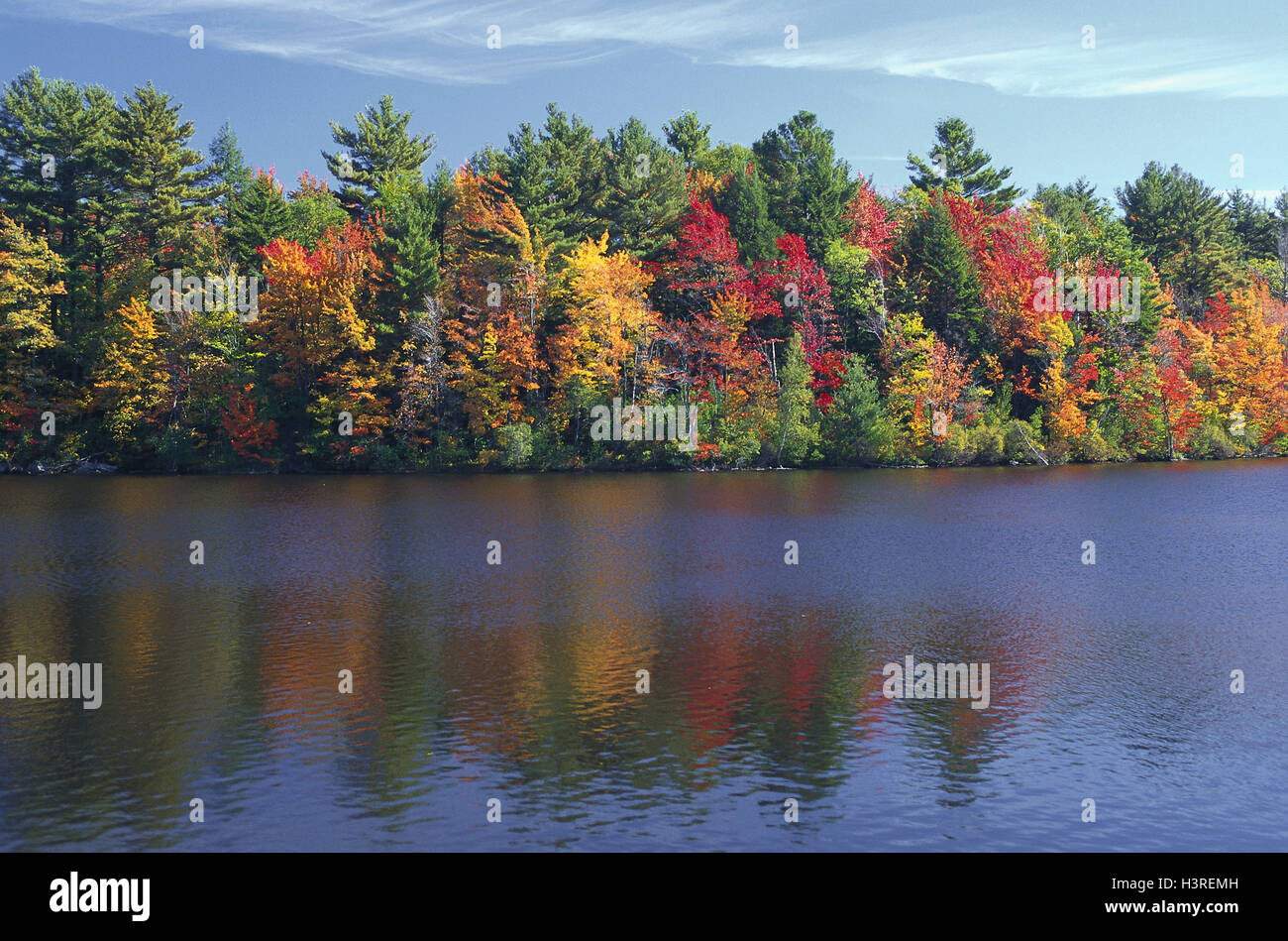 Lago, legno, autunno, cicalino indiano, foresta lago, shore, alberi, boschi misti, fogliame autunnale i colori autunnali, foglie, fogliame Foto Stock