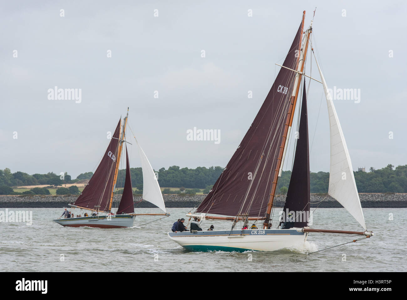 Gaff-truccate puzza CK 258 Charlotte Ellen e CK318 Alberta corse off Brightlingsea in Essex. Foto Stock