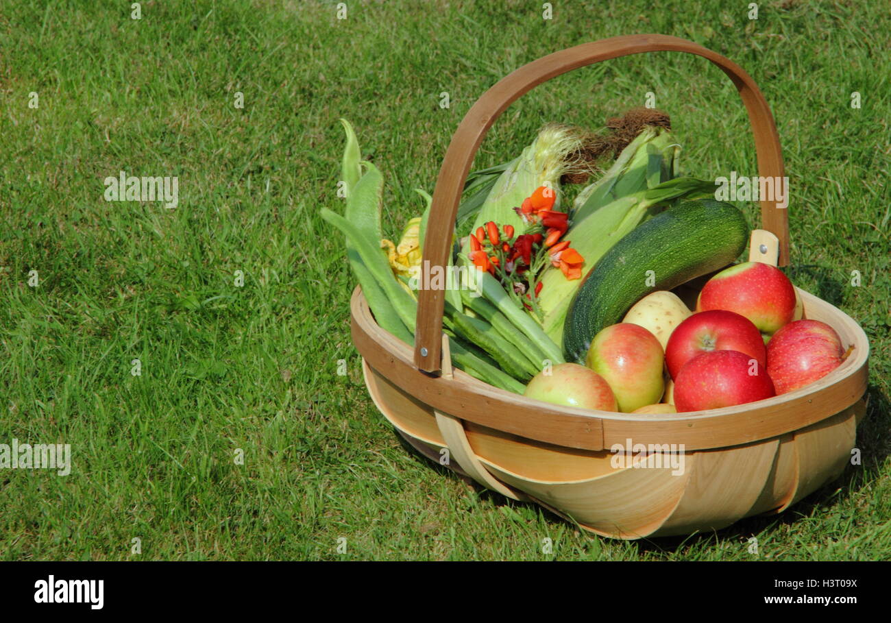 Un trug riempito con appena raccolto le mele e ortaggi con zucchine, granturco dolce e i baccelli in un giardino inglese Foto Stock