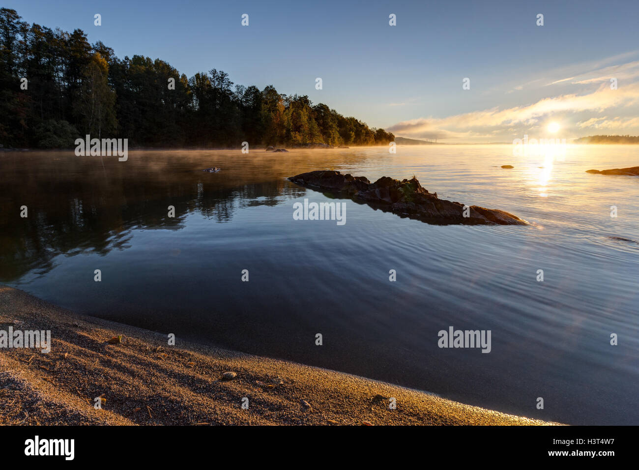Vista di un lago calmo e foresta in Finlandia in una mattina di sole in estate. Foto Stock