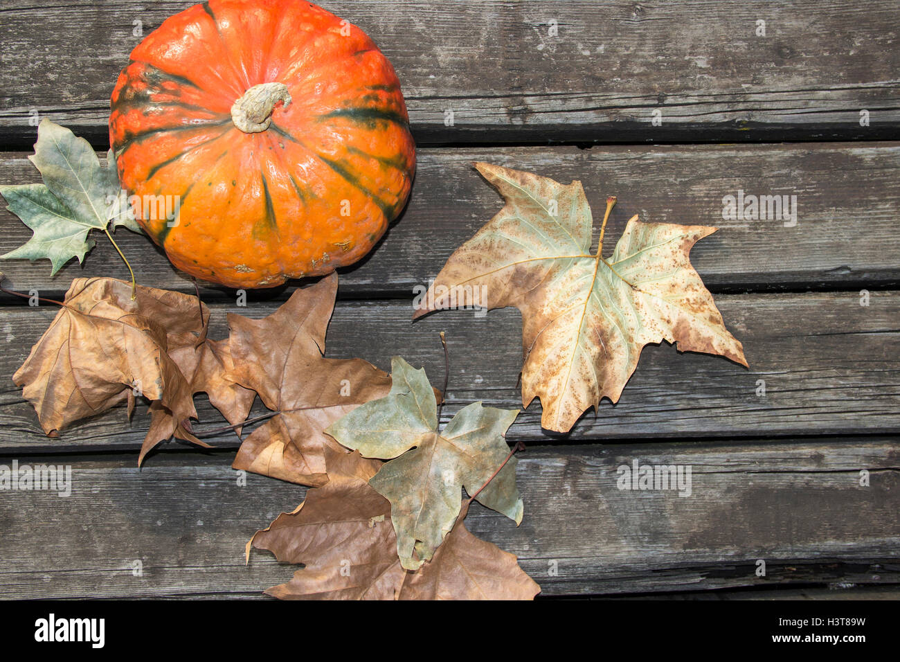 A Belgrado, in Serbia - zucca e foglie su un weathered superficie in legno Foto Stock