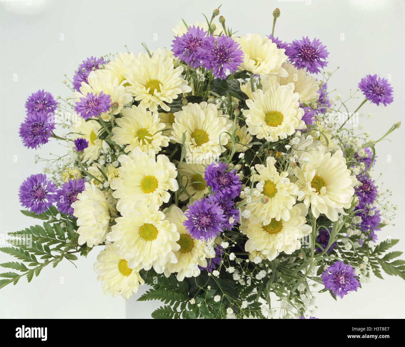 Bouquet, oxeye daisys, crisantemi, cornflowers, Stauß, fiori, legato, fiori estivi, studio di registrazione, Foto Stock