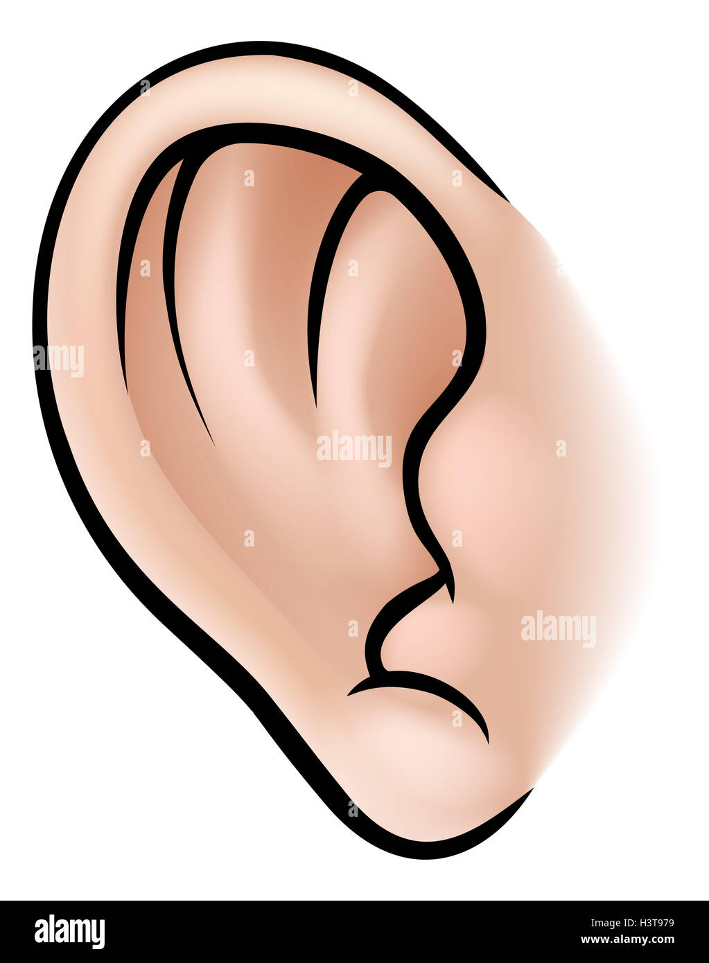 Una illustrazione di un orecchio umano parte del corpo Foto Stock