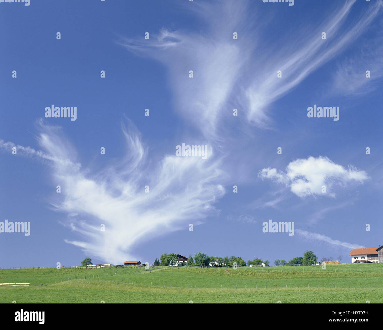 Filo nuvole nel cielo blu sopra prati e boschi, cielo nuvoloso, prato, estate, villaggio, Foto Stock