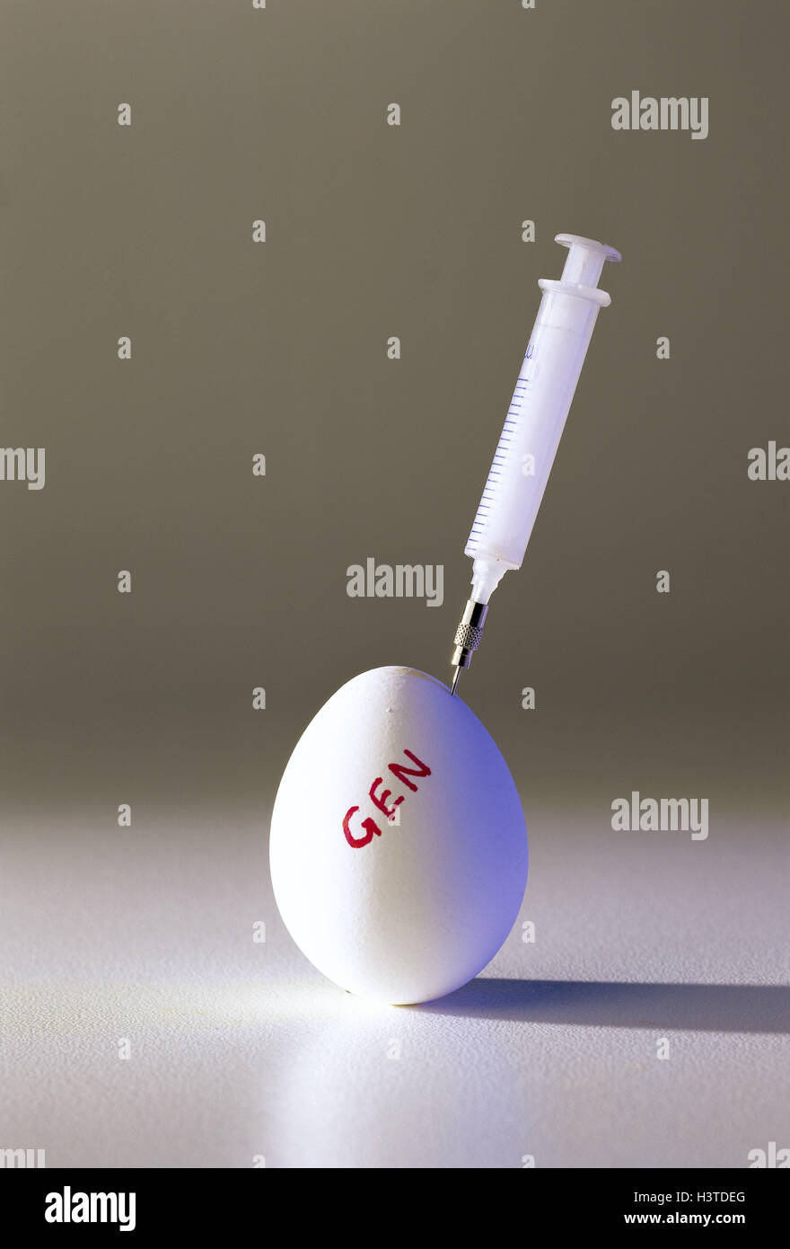 Icona, cibo, l'ingegneria genetica, l'uovo, la siringa, alimentazione, nutrizione, genetico-manipolato, la ricerca, la scienza, l'ingegneria genetica e la biotecnologia, manovra, ingegneria genetica, etichetta gene, la fotografia del prodotto, studio Foto Stock