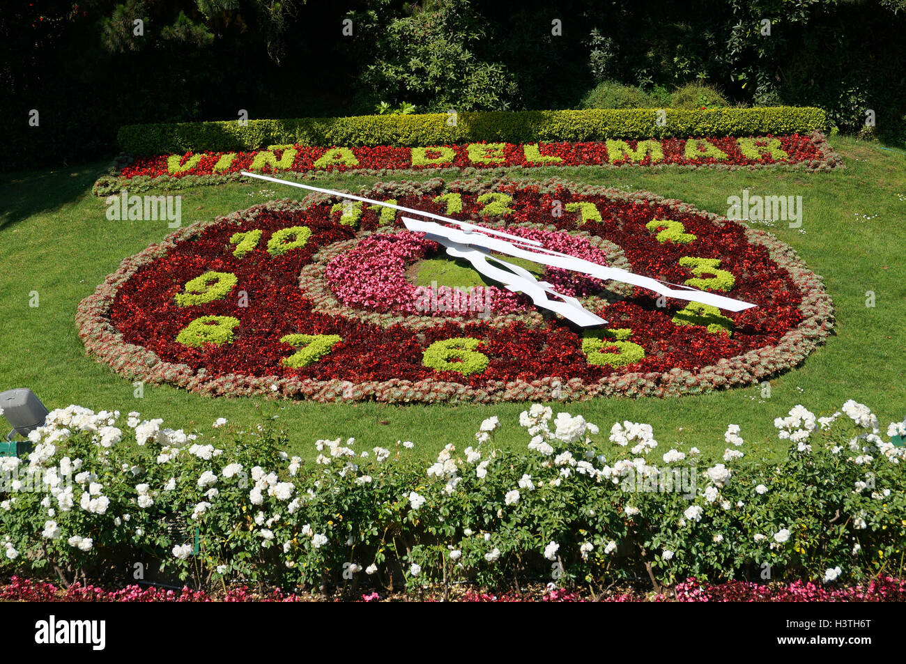 Orologio di fiori, Vina del Mar, Cile Foto Stock