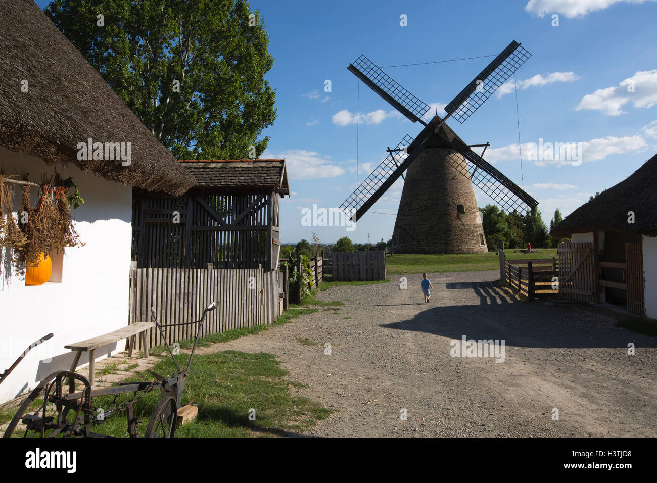 Il mulino a vento da Dusnok 1888, Skanzen di Szentendre Village Museum, Ungherese Open Air Museum del XVIII al XX secolo la vita di allevamento. Foto Stock