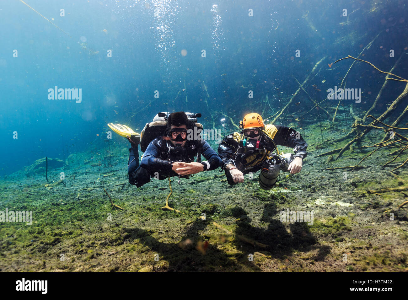 Scuba Diver in Car Wash Cenote Aktun Ha, Tulum, la penisola dello Yucatan, Messico Foto Stock