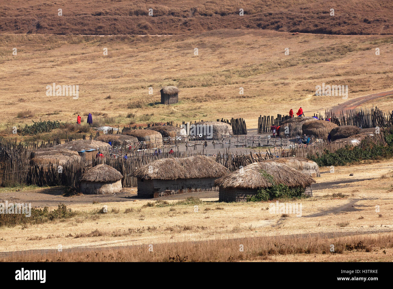 Villaggio masai, Ngorongoro, Sito Patrimonio Mondiale dell'UNESCO, Tanzania Africa Foto Stock