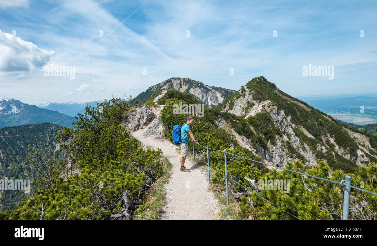 Escursionista sul sentiero, Herzogstand-Heimgarten ridge a piedi, Heimgarten dietro, Alta Baviera, Baviera, Germania Foto Stock