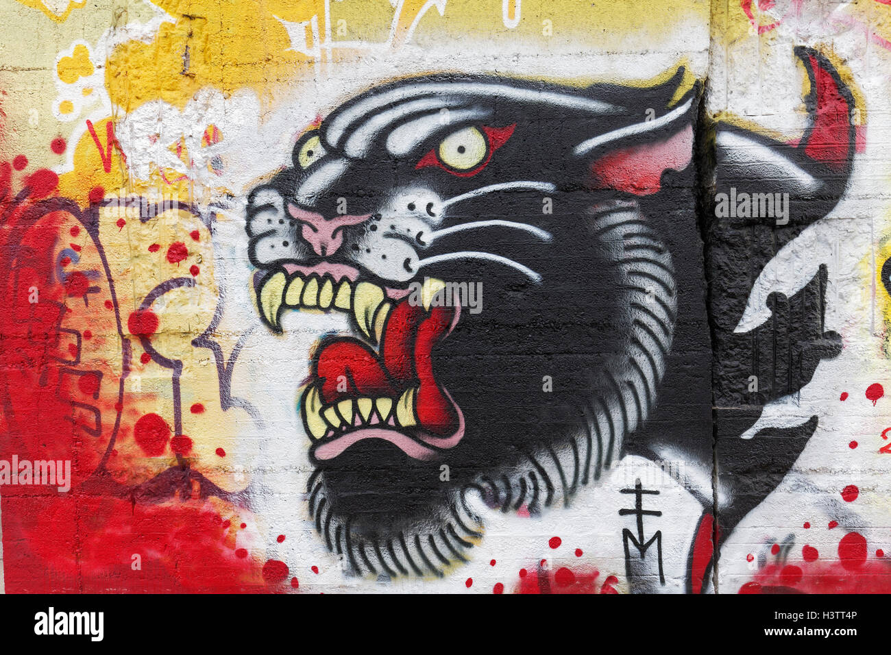 Panther con la bocca aperta, graffiti, arte di strada, Duisburg, Nord Reno-Westfalia, Germania Foto Stock