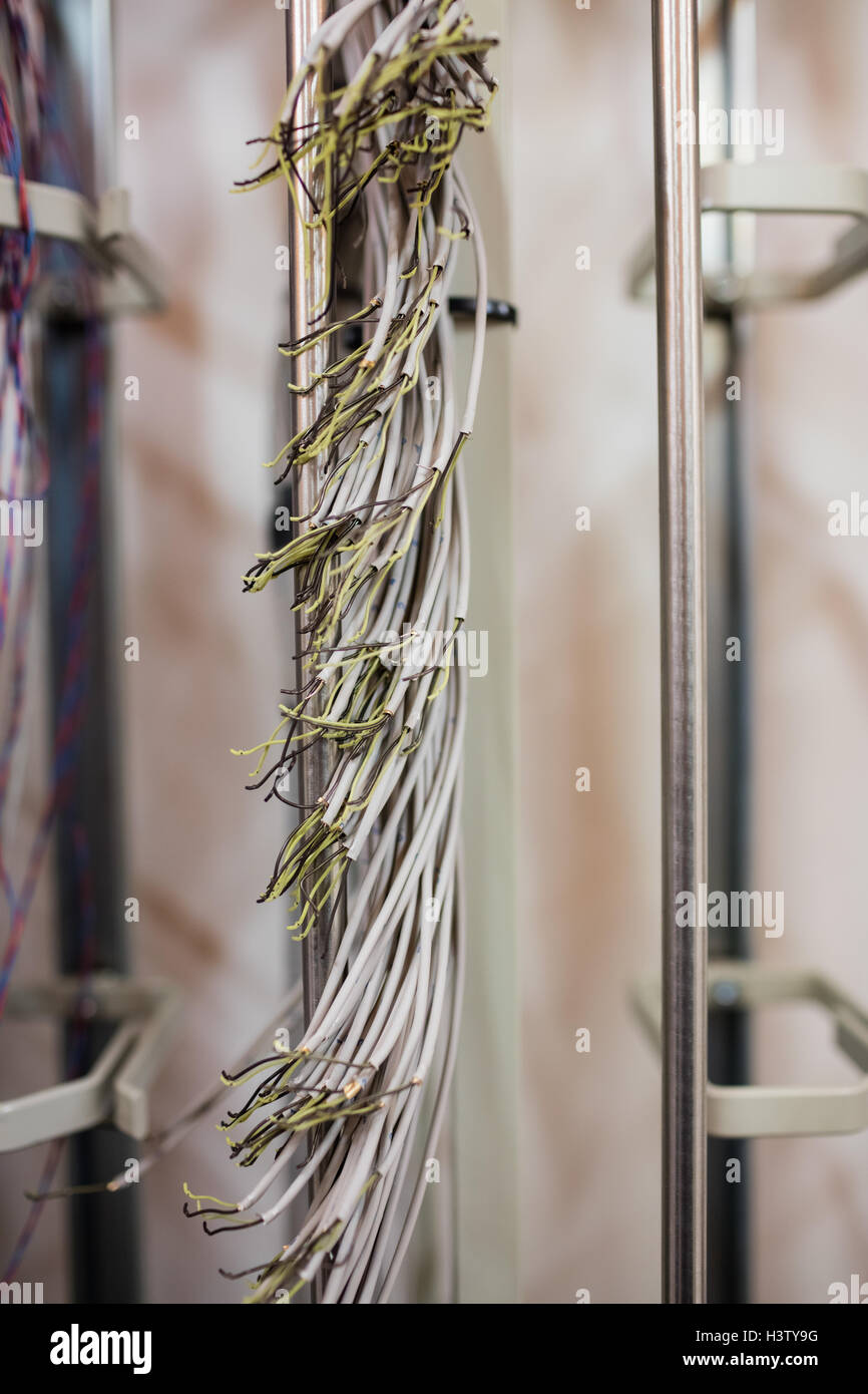 Close-up di cavo in fibra ottica Foto Stock