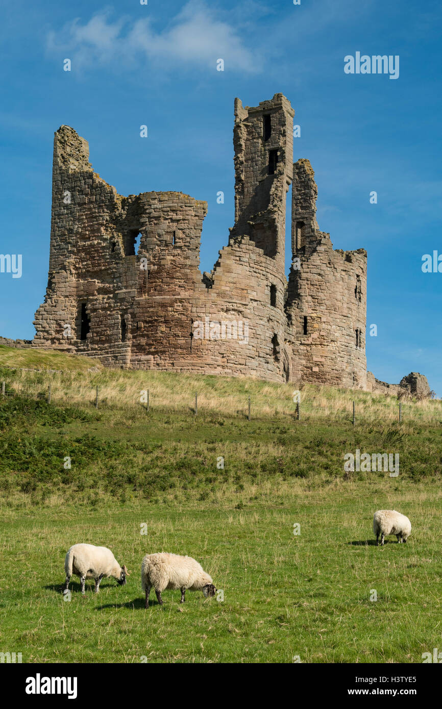 Il castello di Dunstanburgh, Northumberland, Inghilterra Foto Stock