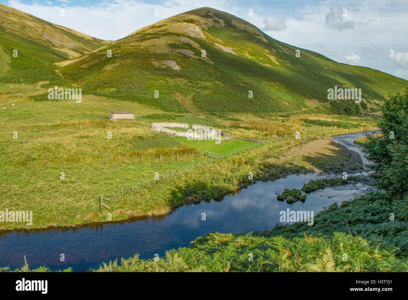 Fiume Coquet, Upper Coquetdale, Northumberland, Inghilterra Foto Stock