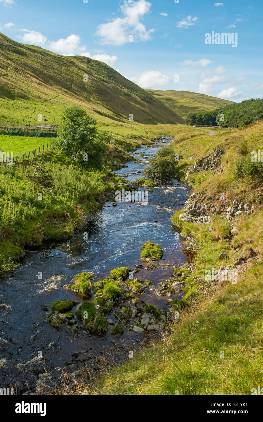 Fiume Coquet, Upper Coquetdale, Northumberland, Inghilterra Foto Stock