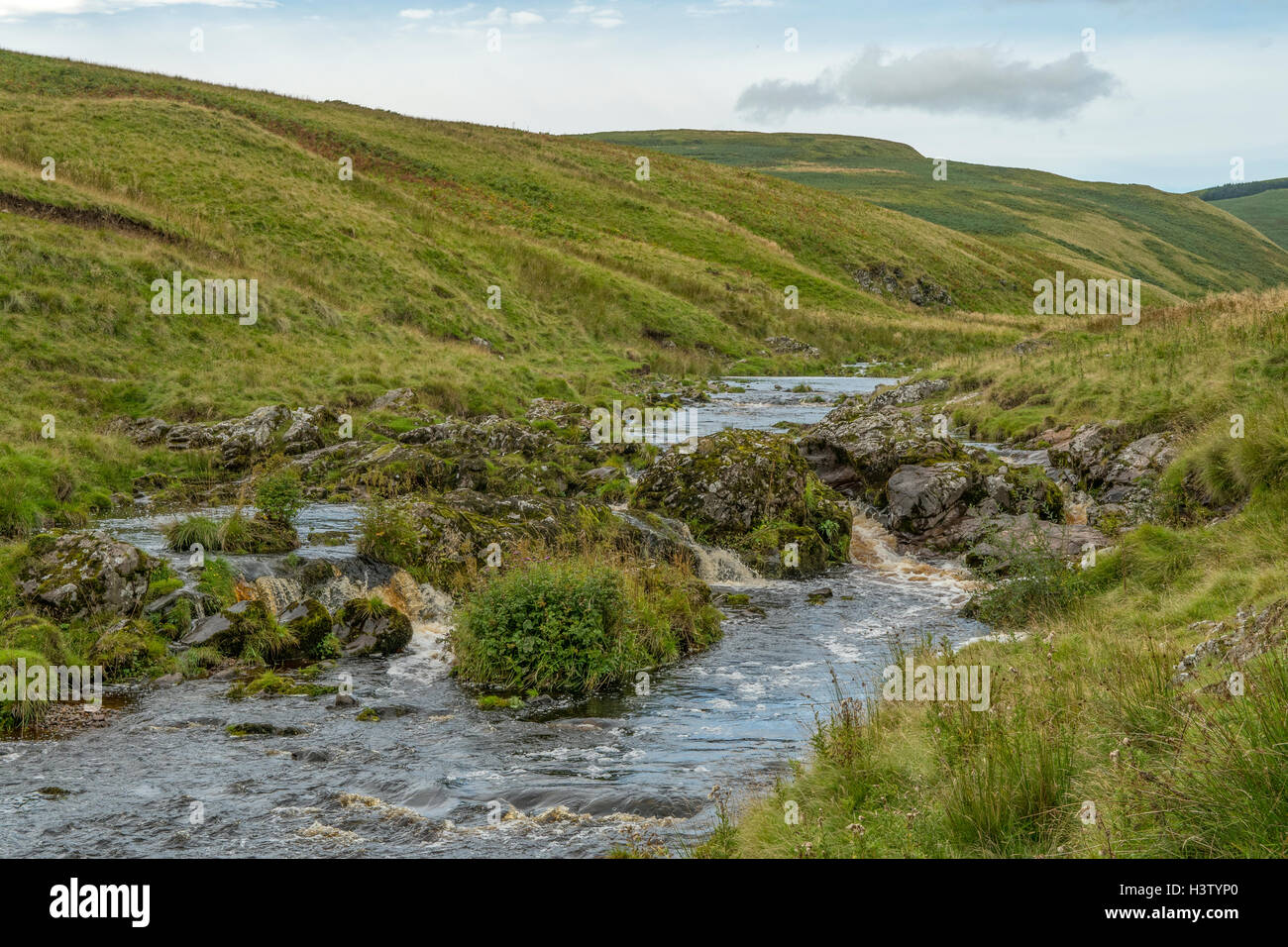 Fiume Coquet, Upper Coquetdale, Northumberland, Inghilterra Foto Stock