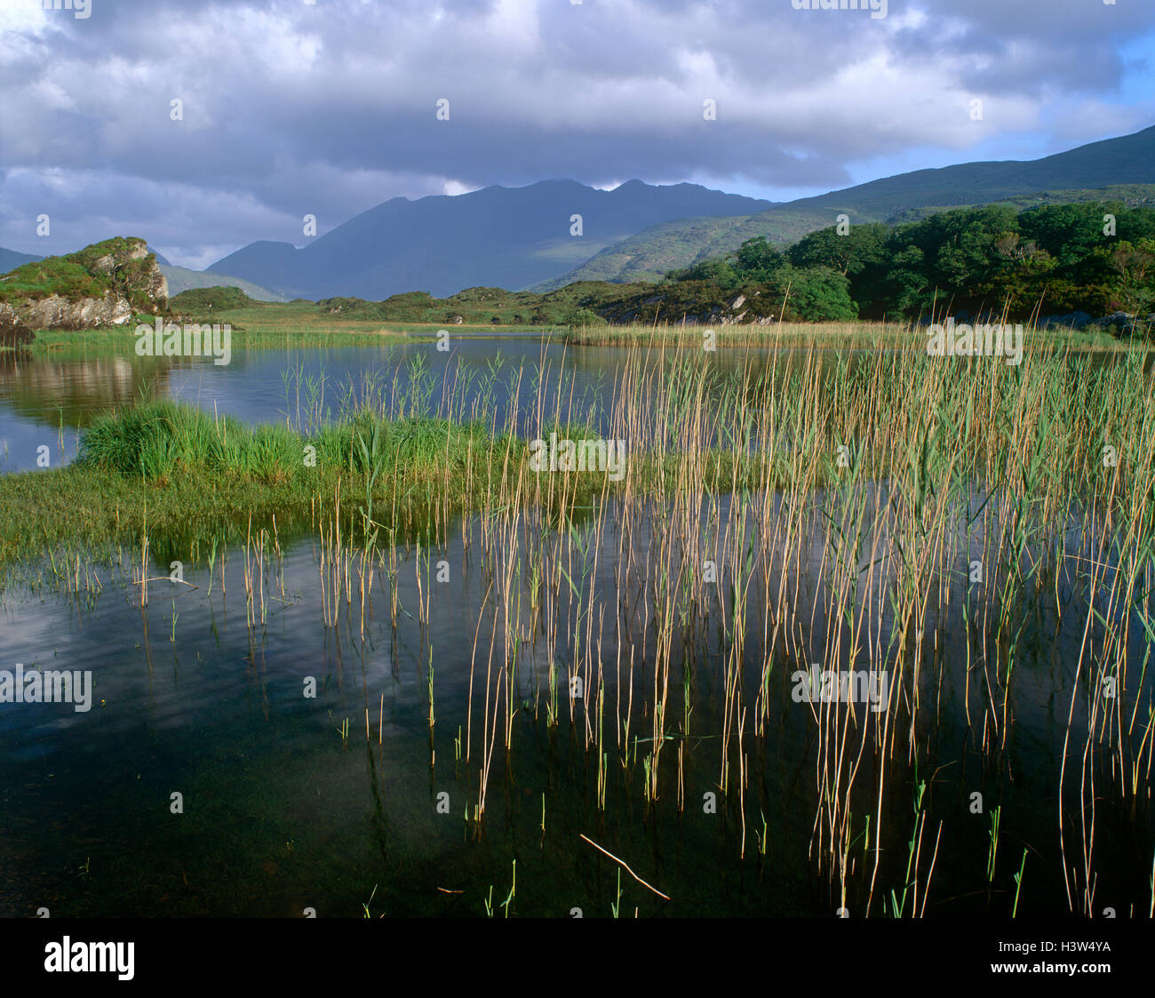 Lago Superiore, Killarney, County Kerry, Irlanda Foto Stock