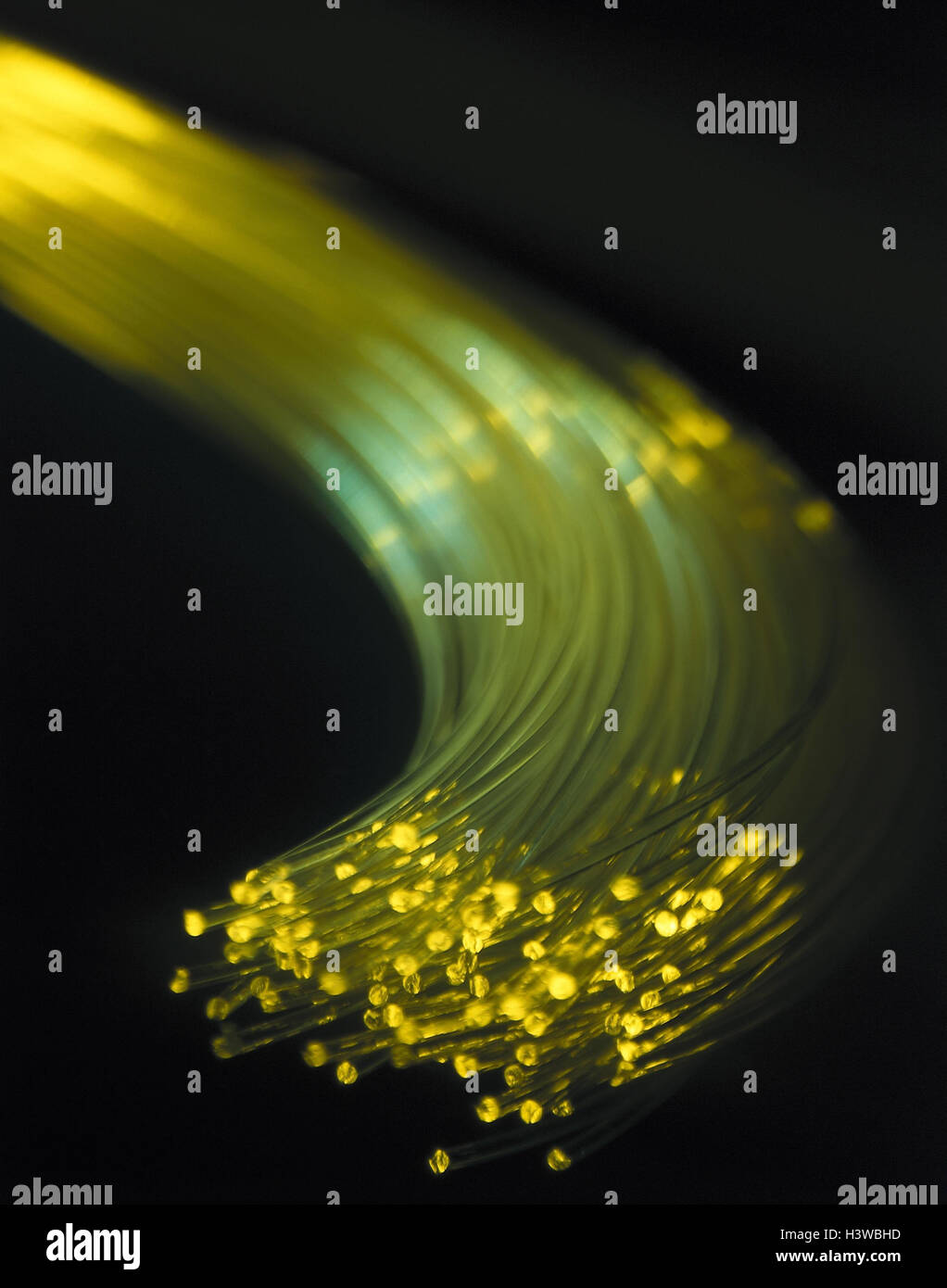 Cavo in fibra di vetro, fibra ottica, sistema di trasmissione, telecomunicazioni, elaborazione dati otticamente, fiberglasses, guide di luce, fibra di vetro ottica, trasmissione, tecnologia informatica, tratto, estremità, le sfocature Foto Stock