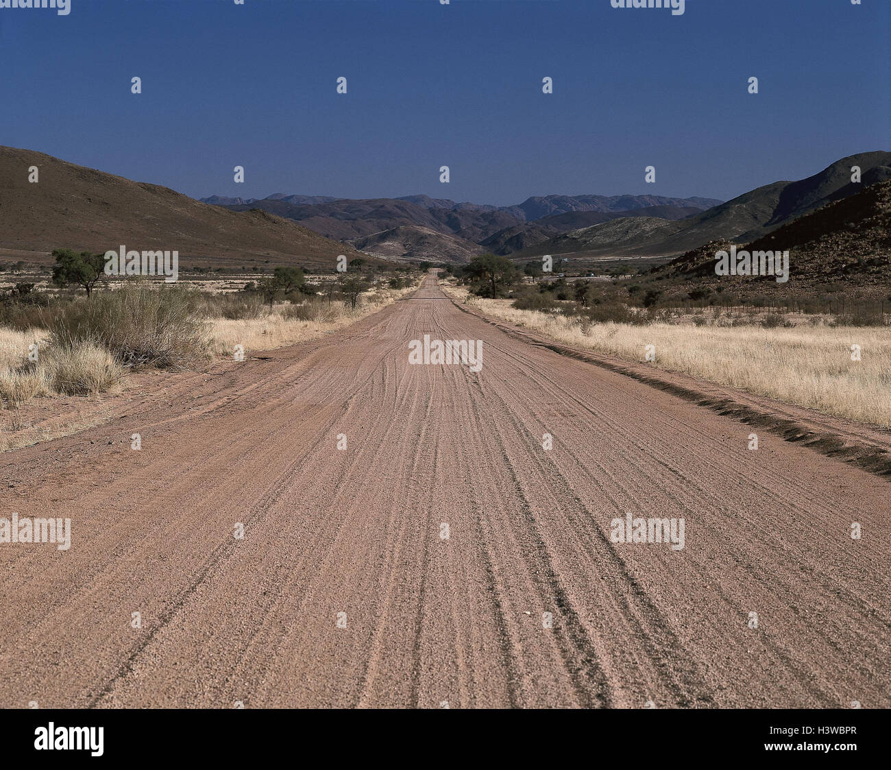 Spike savana immagini e fotografie stock ad alta risoluzione Alamy