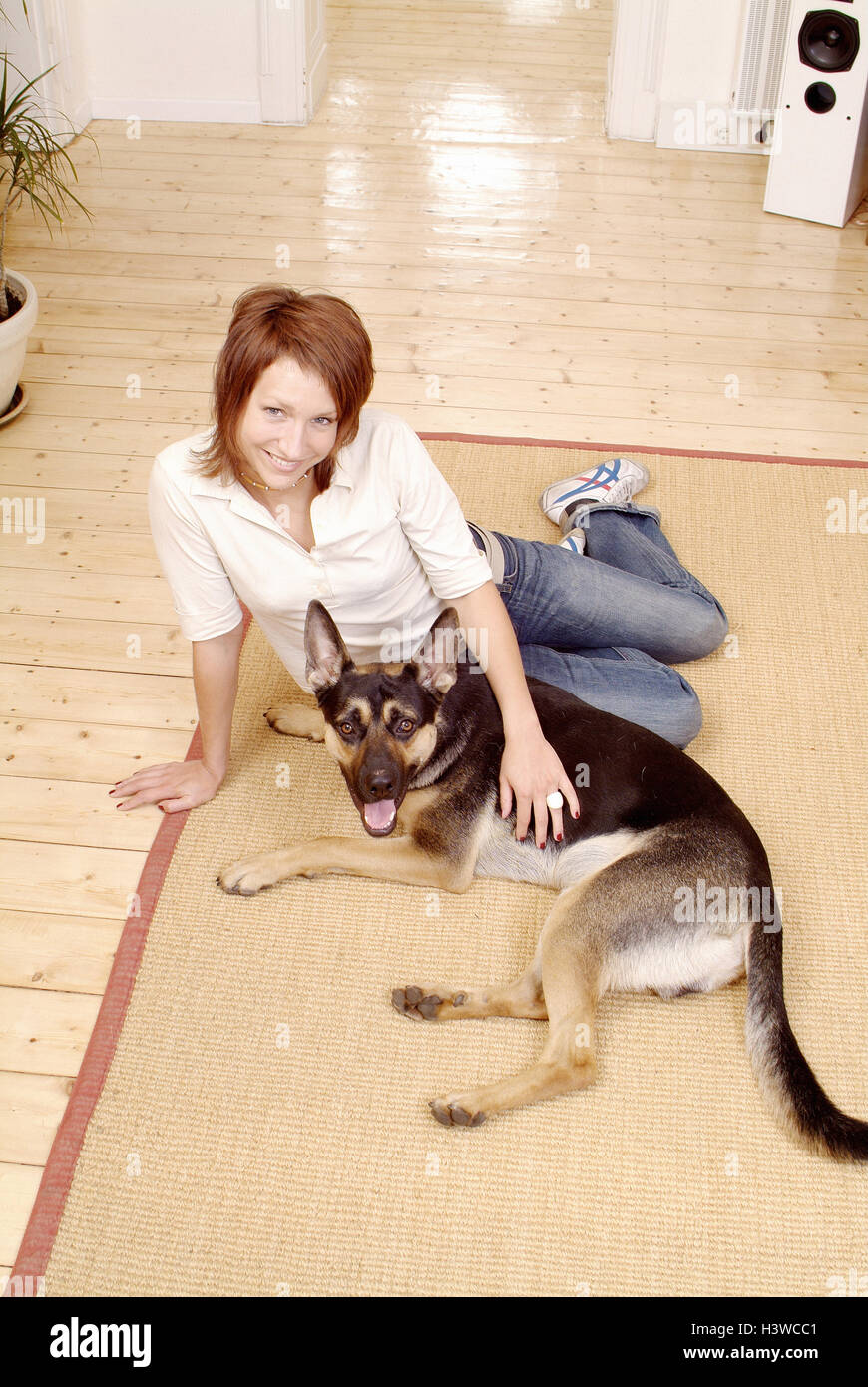 Camere salotto, piano, donna, giovane, sedersi sheepdog, giacciono, tratto dal di sopra 27 anni, single, felicemente, allegria, spazio soggiorno, all'interno, a casa, tempo libero, riposo, take it easy, animale-amare, animale-piena di amore e di affetto, pet, animali domestici, animali animali, mamma Foto Stock